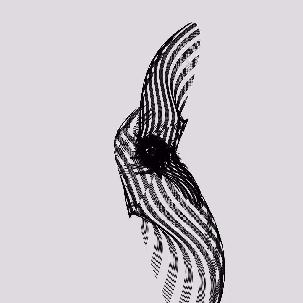ANATOMY of a rabbit but bird #22