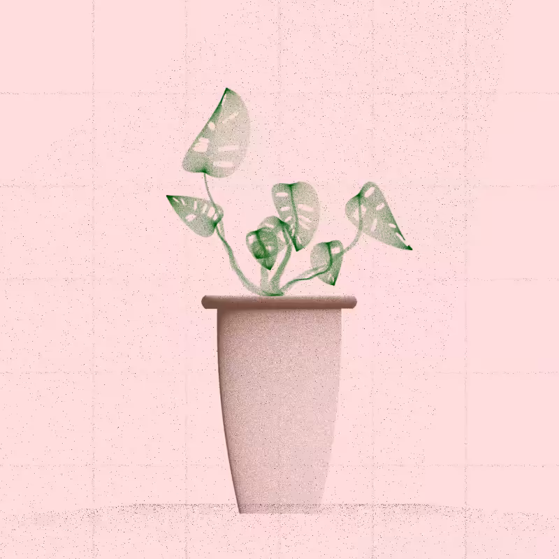 🌱 Potted & Printed #326