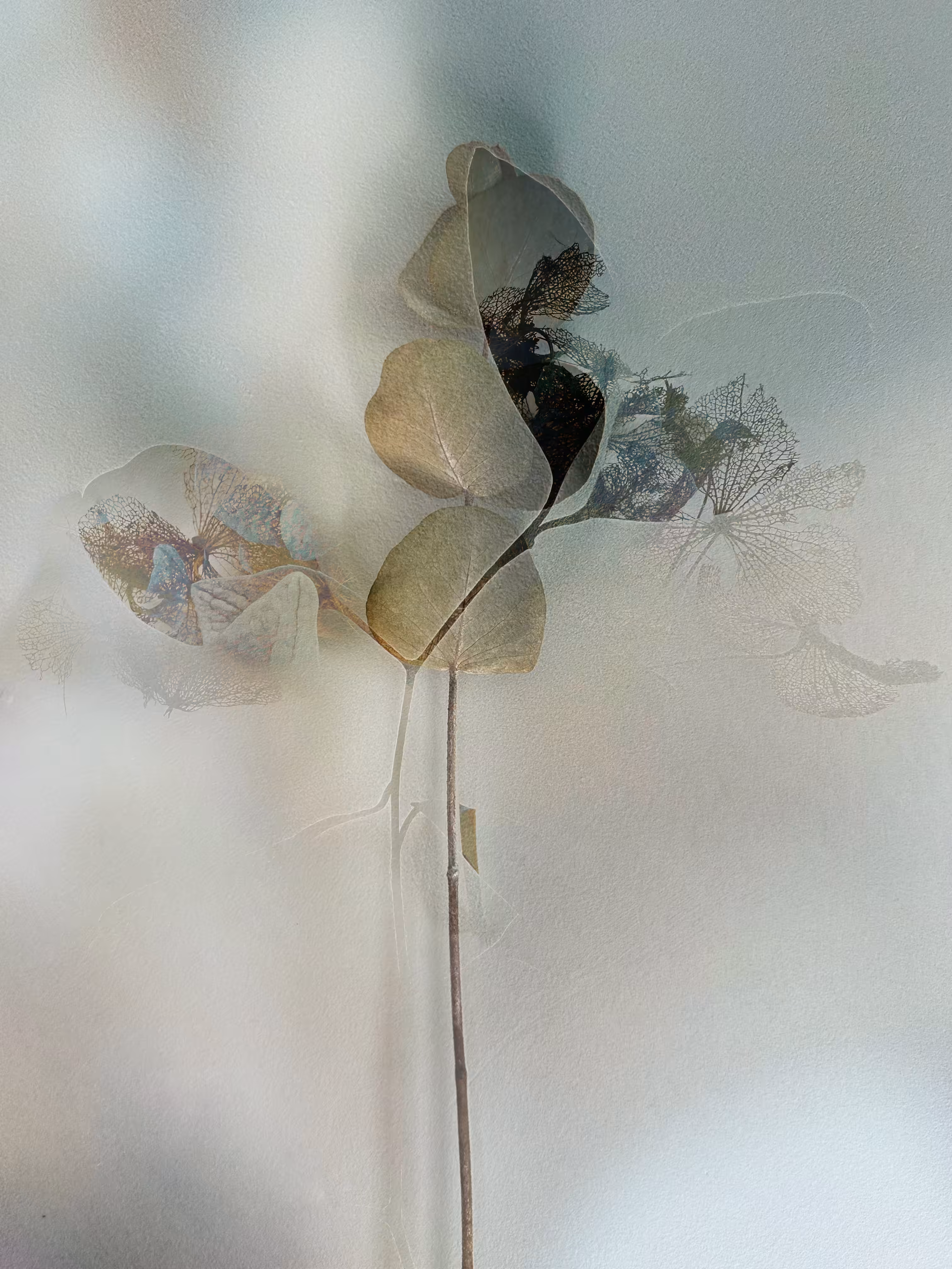 Absence of Heart