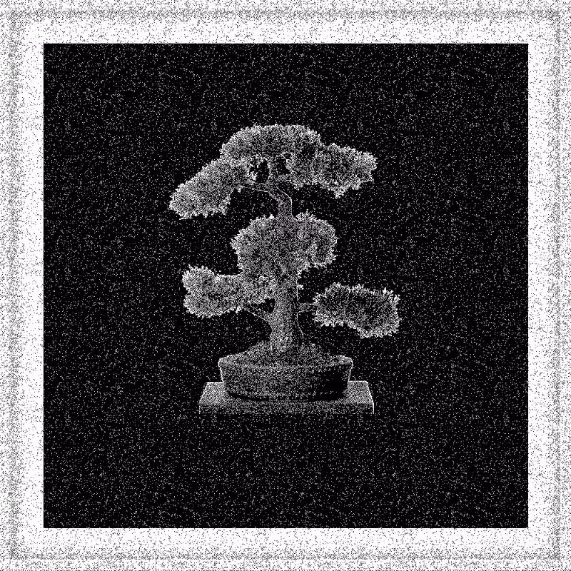 Bonsai Bonanza #108