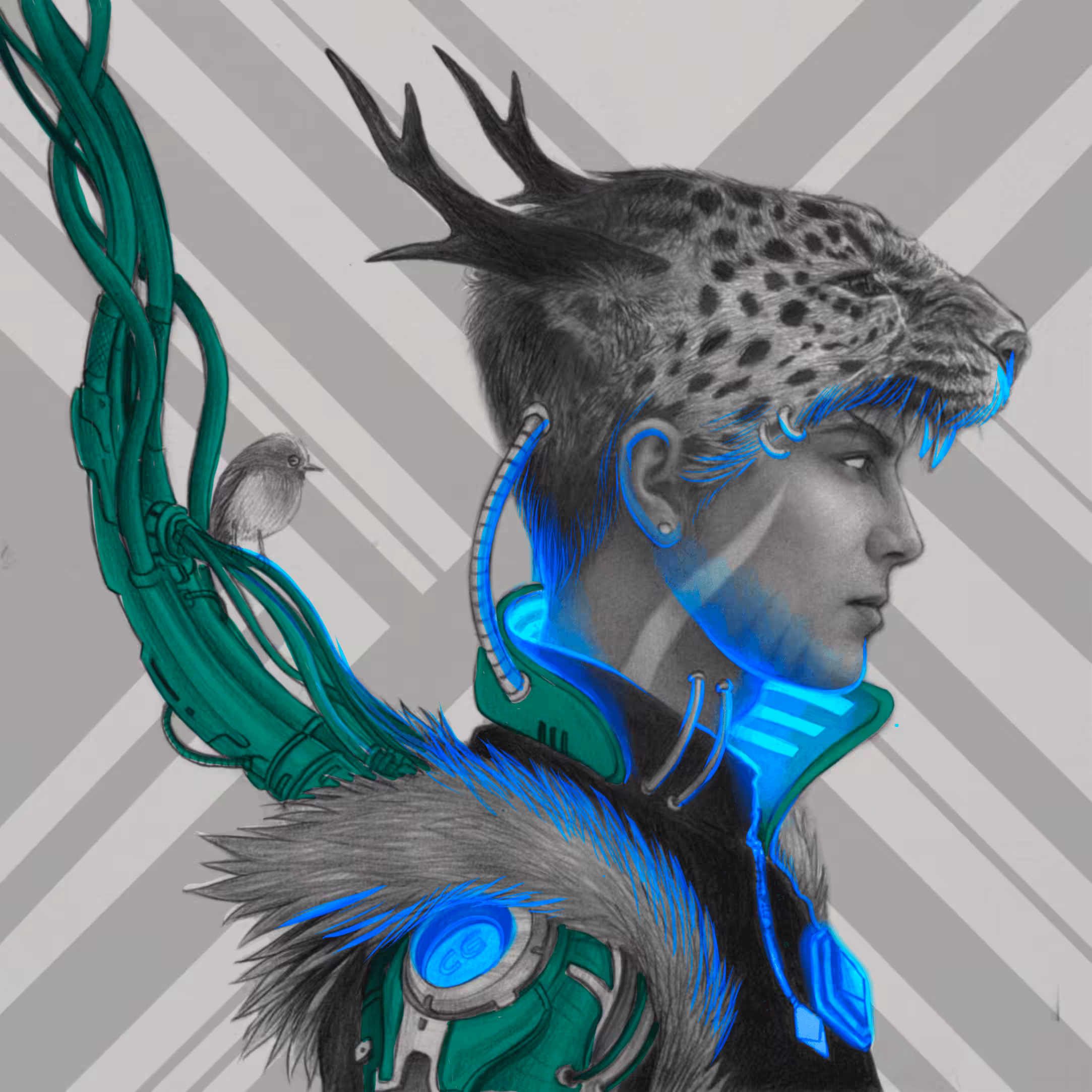 Dargo Guide-030