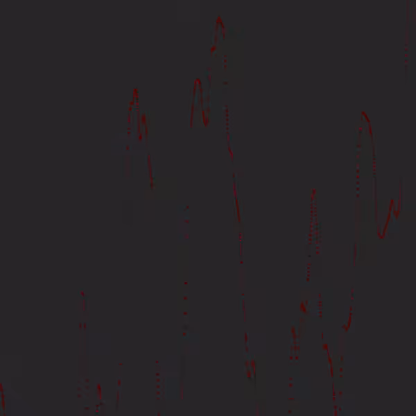 ANIMUS #7