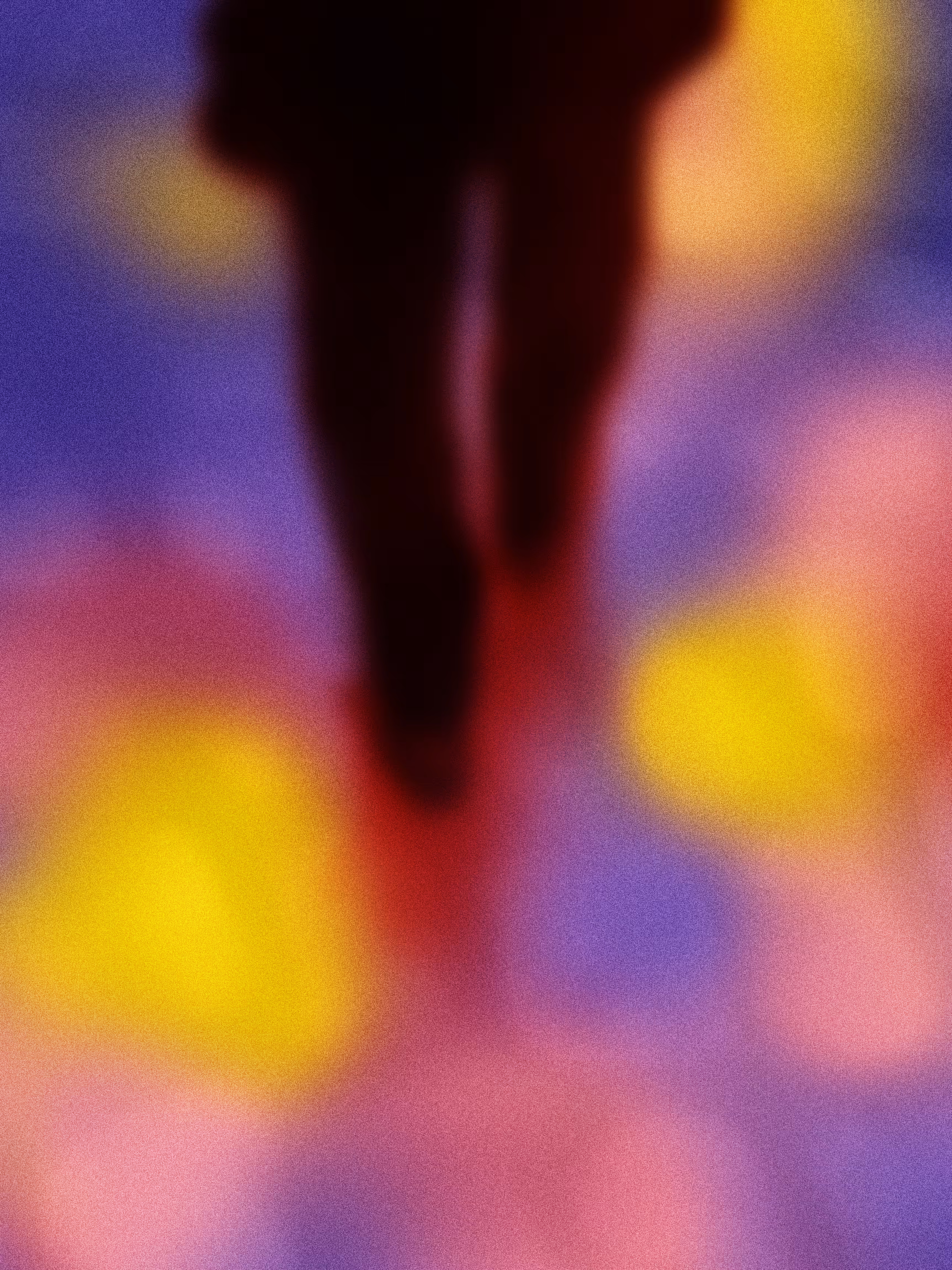 WALKING ON TWO LEGS #4