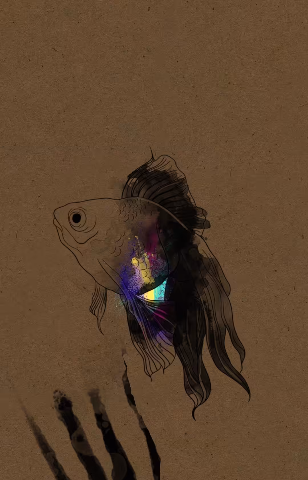 Aqualido