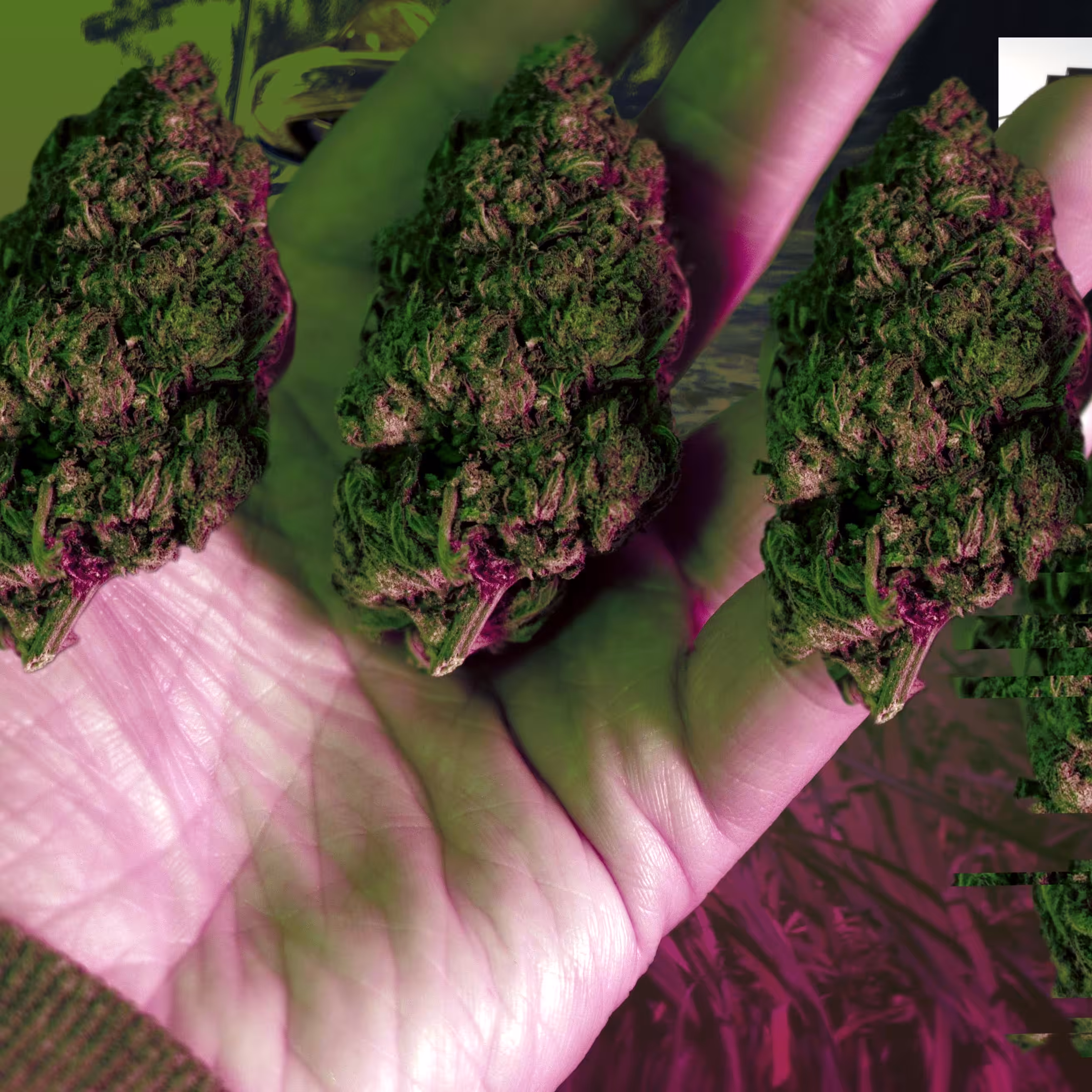 dankwave.flac //
