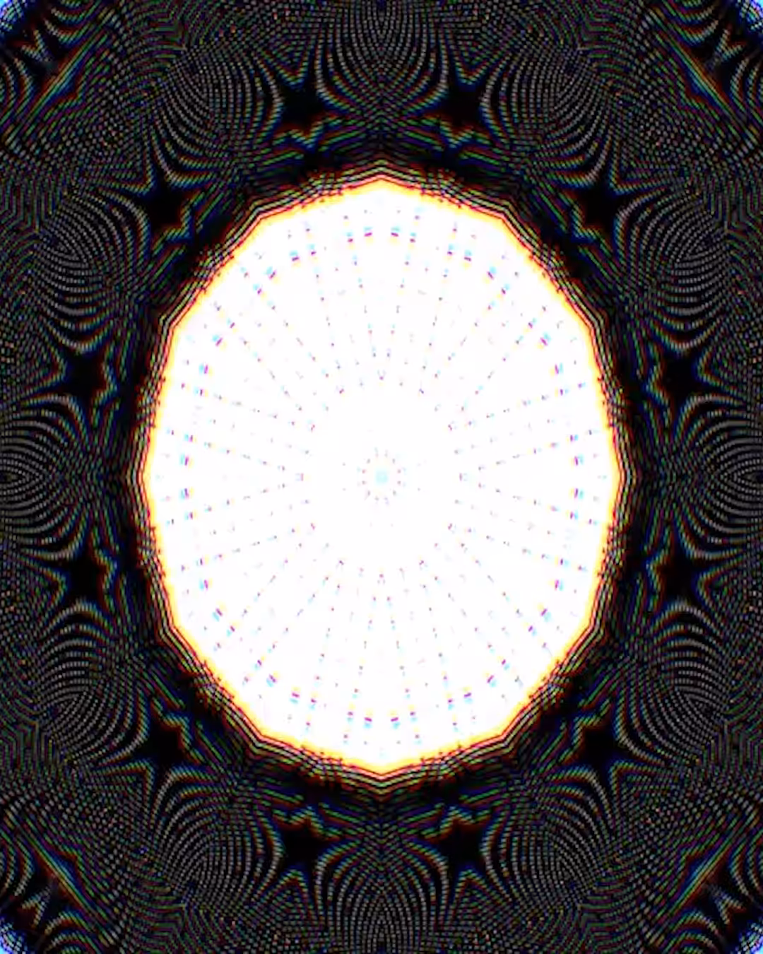 PARAdoxx