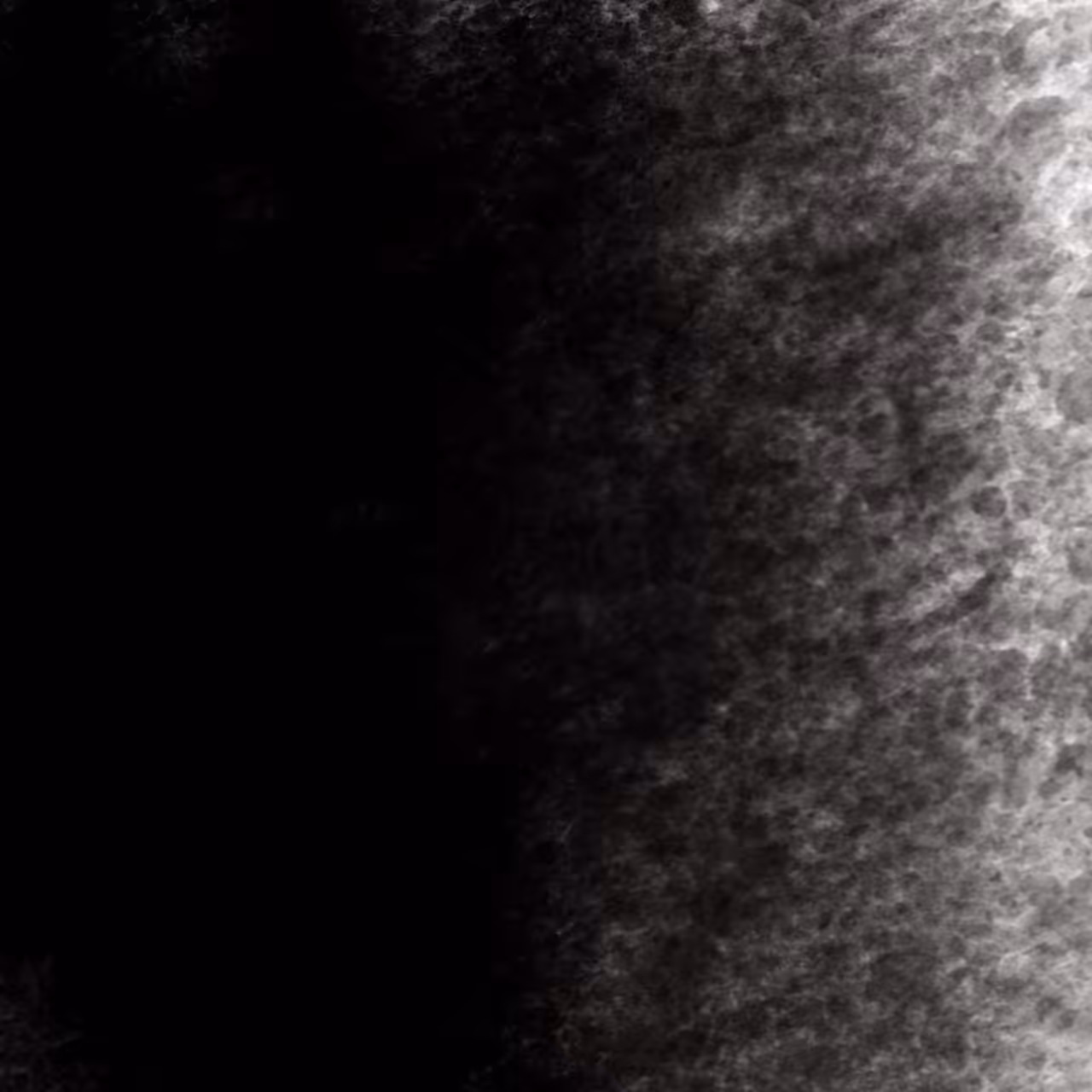 BLACK#29012024