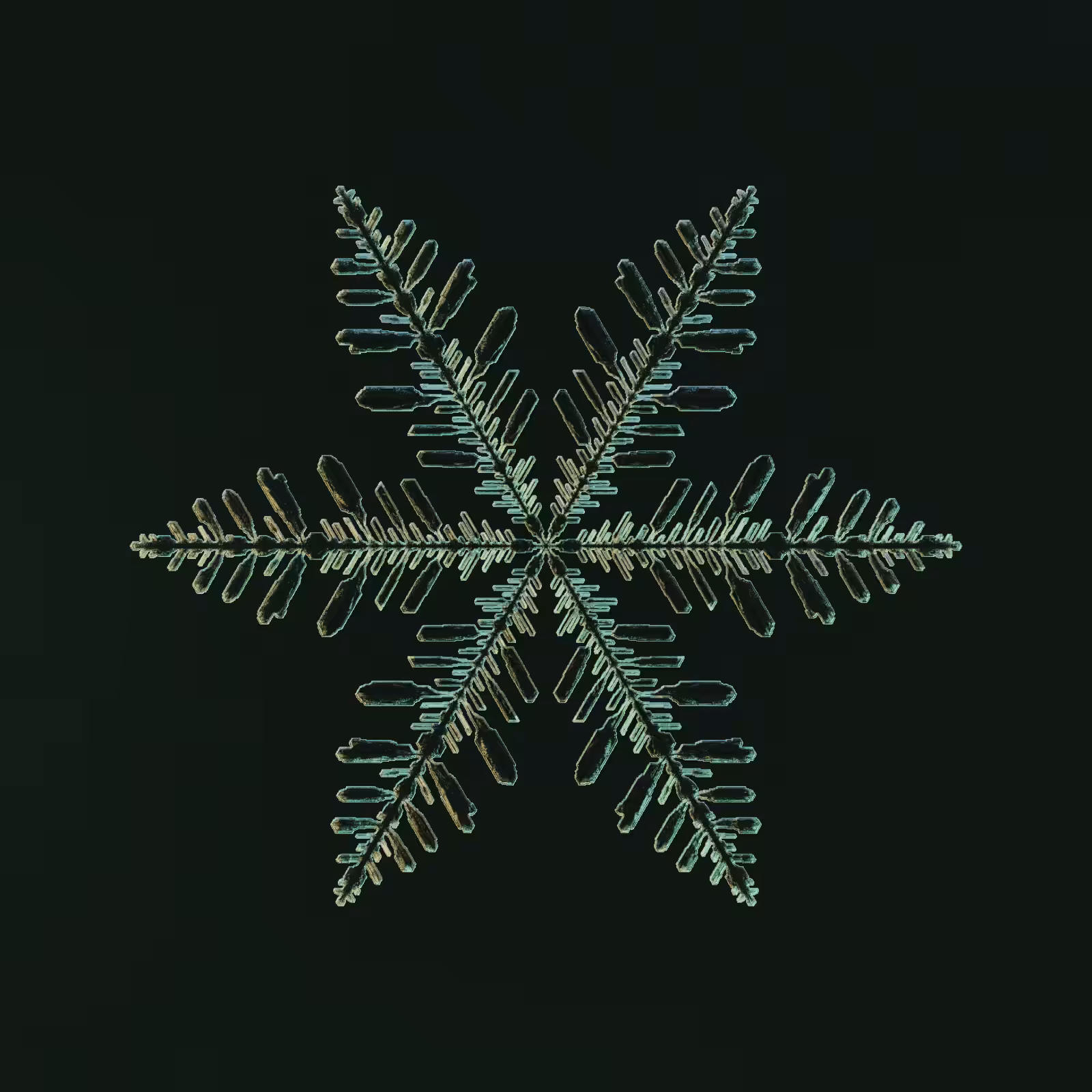 Symmetry and Intricacy #40