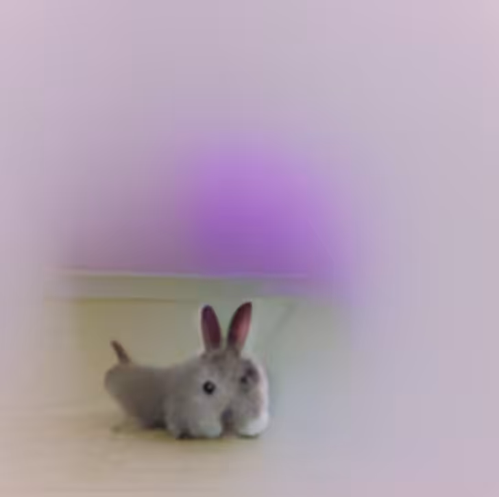 Generative Adversarial Network Bunny