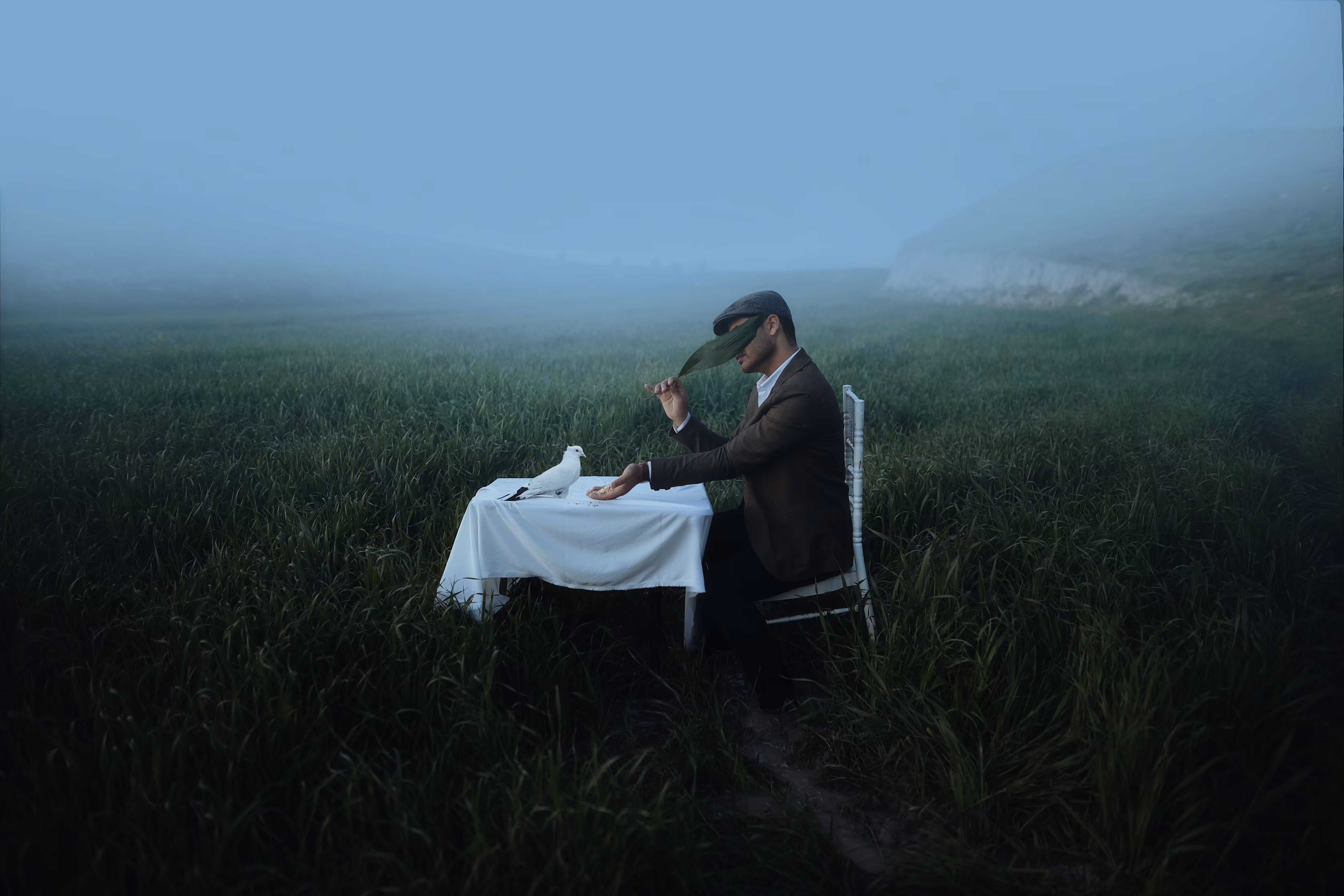 The seeds of peace