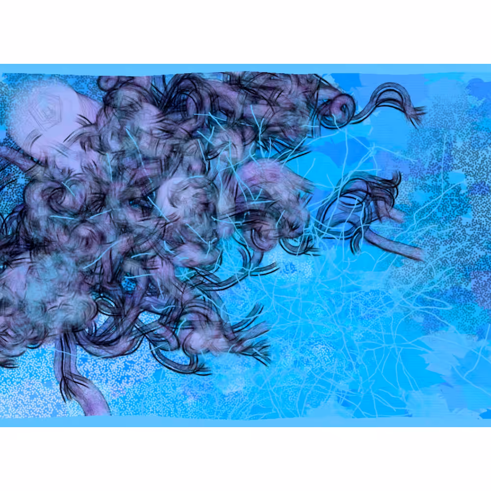 Bravata #2