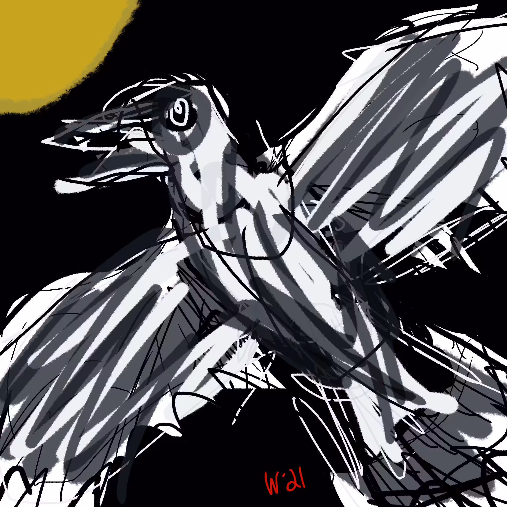 Crow