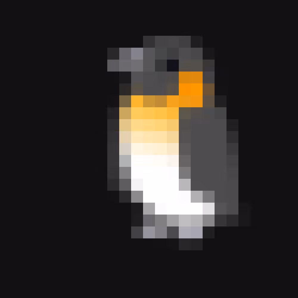 🐧
