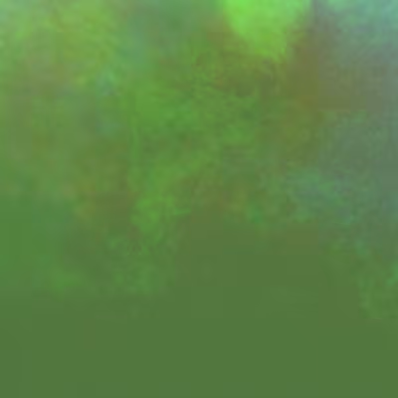 World of water color #5