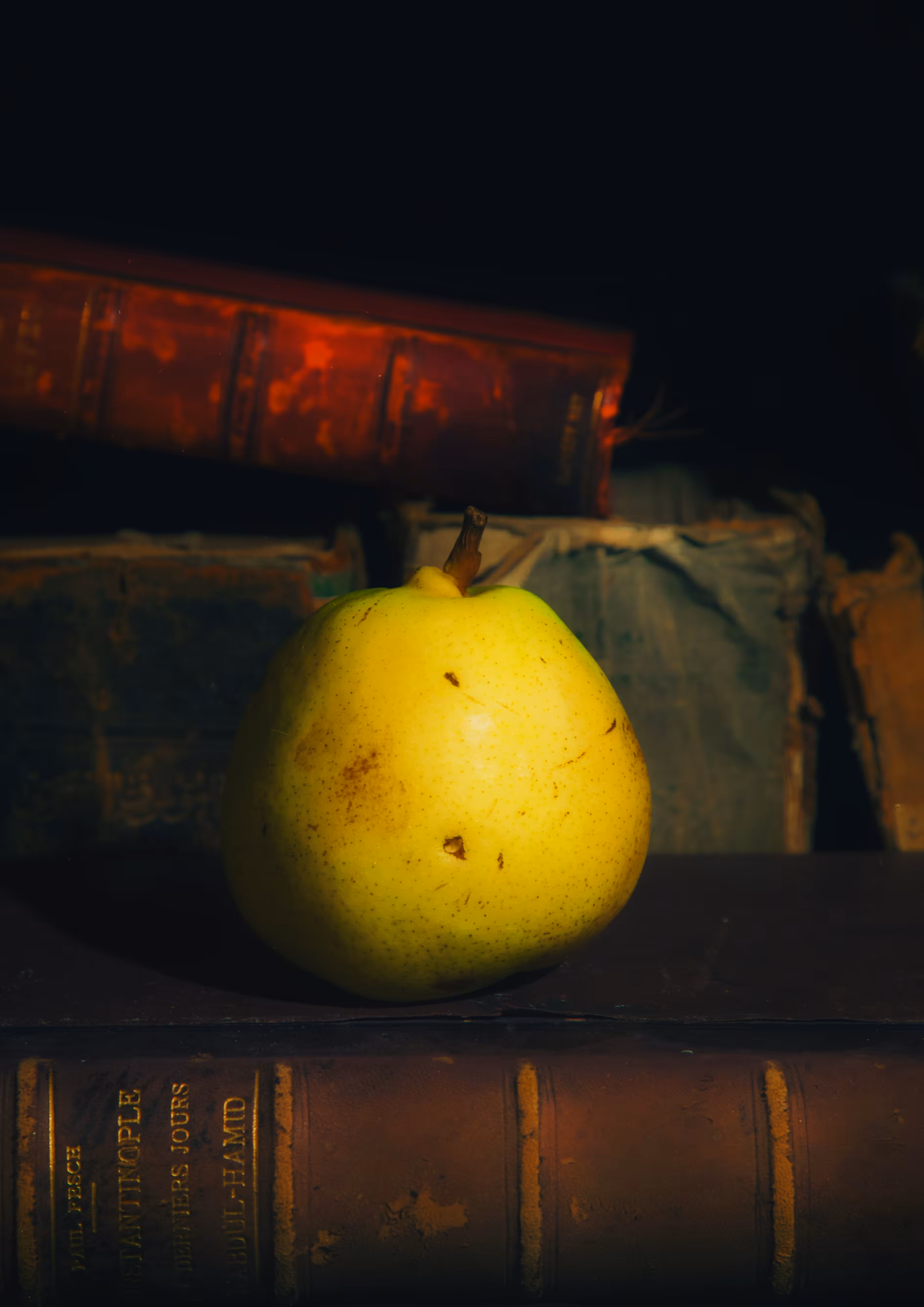 Still Life: Conclusion #16