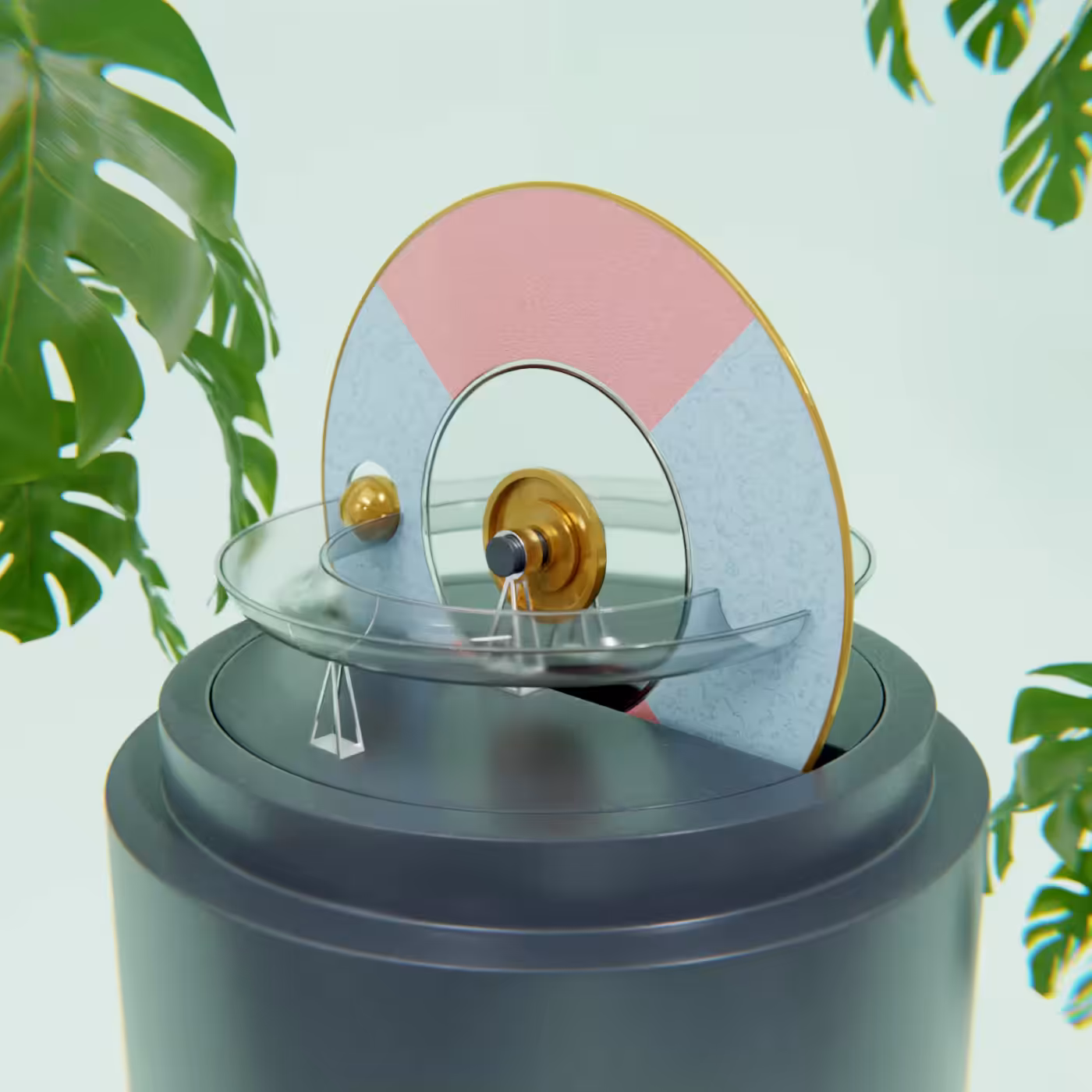 The Disk