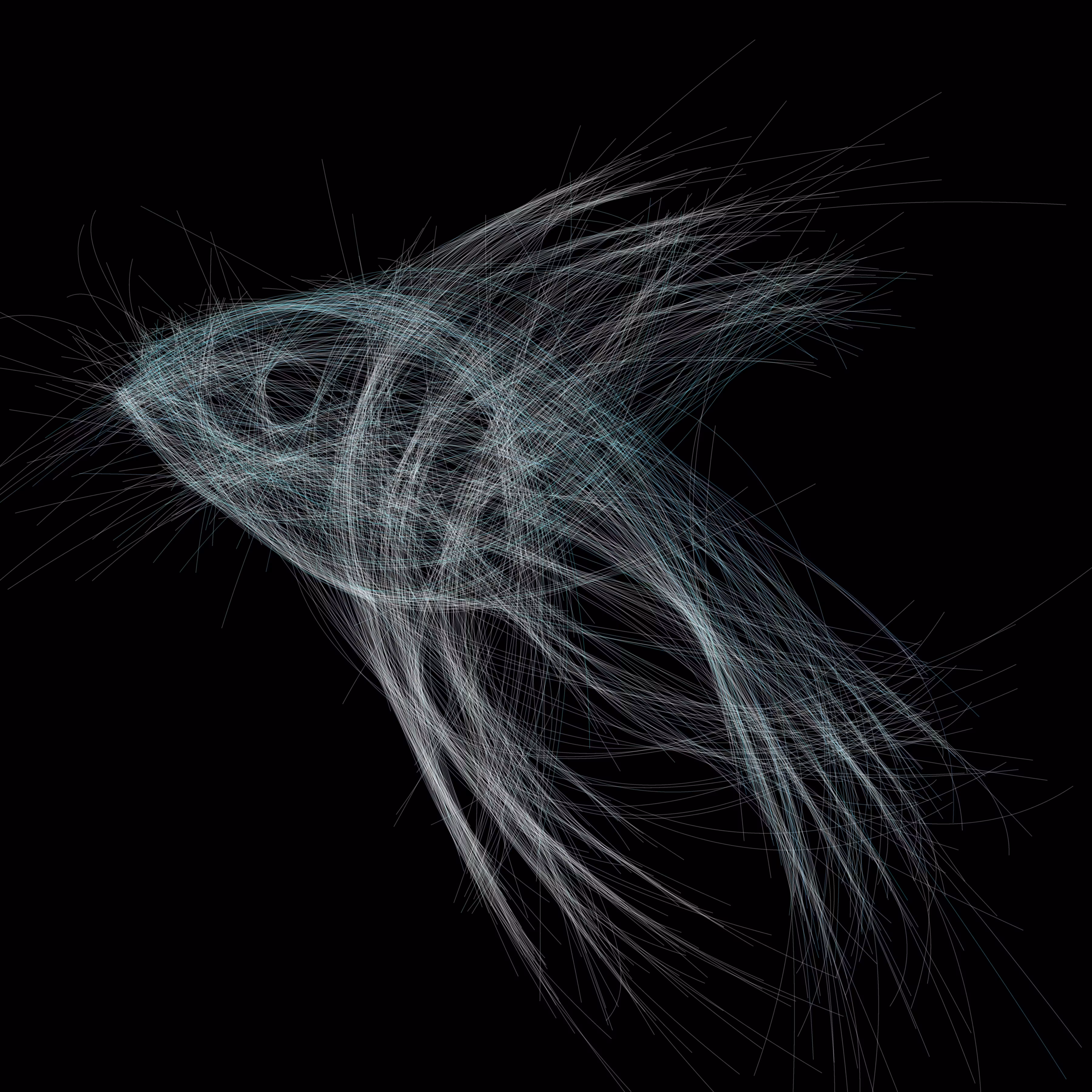 Underwater 28