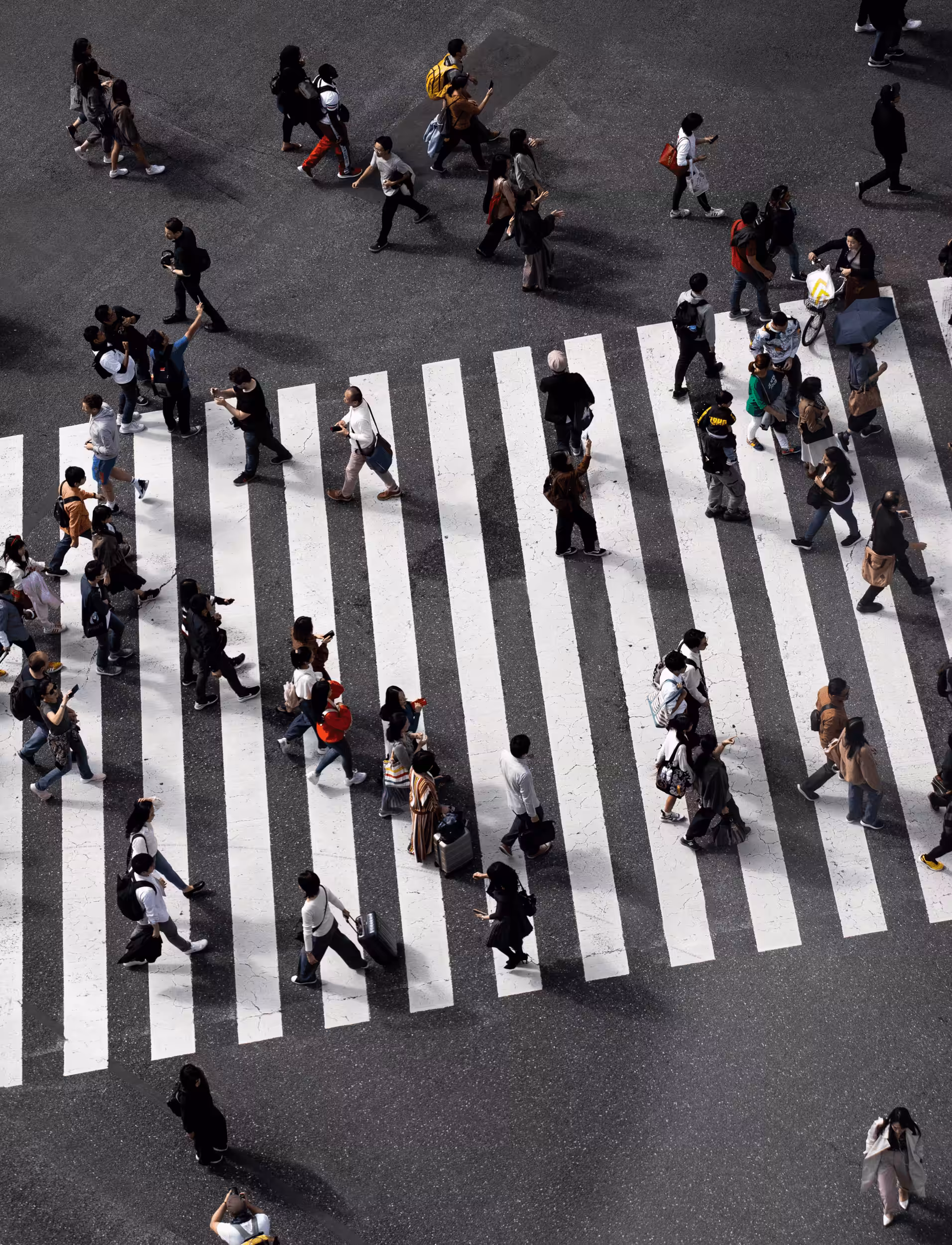 The Crossing #13