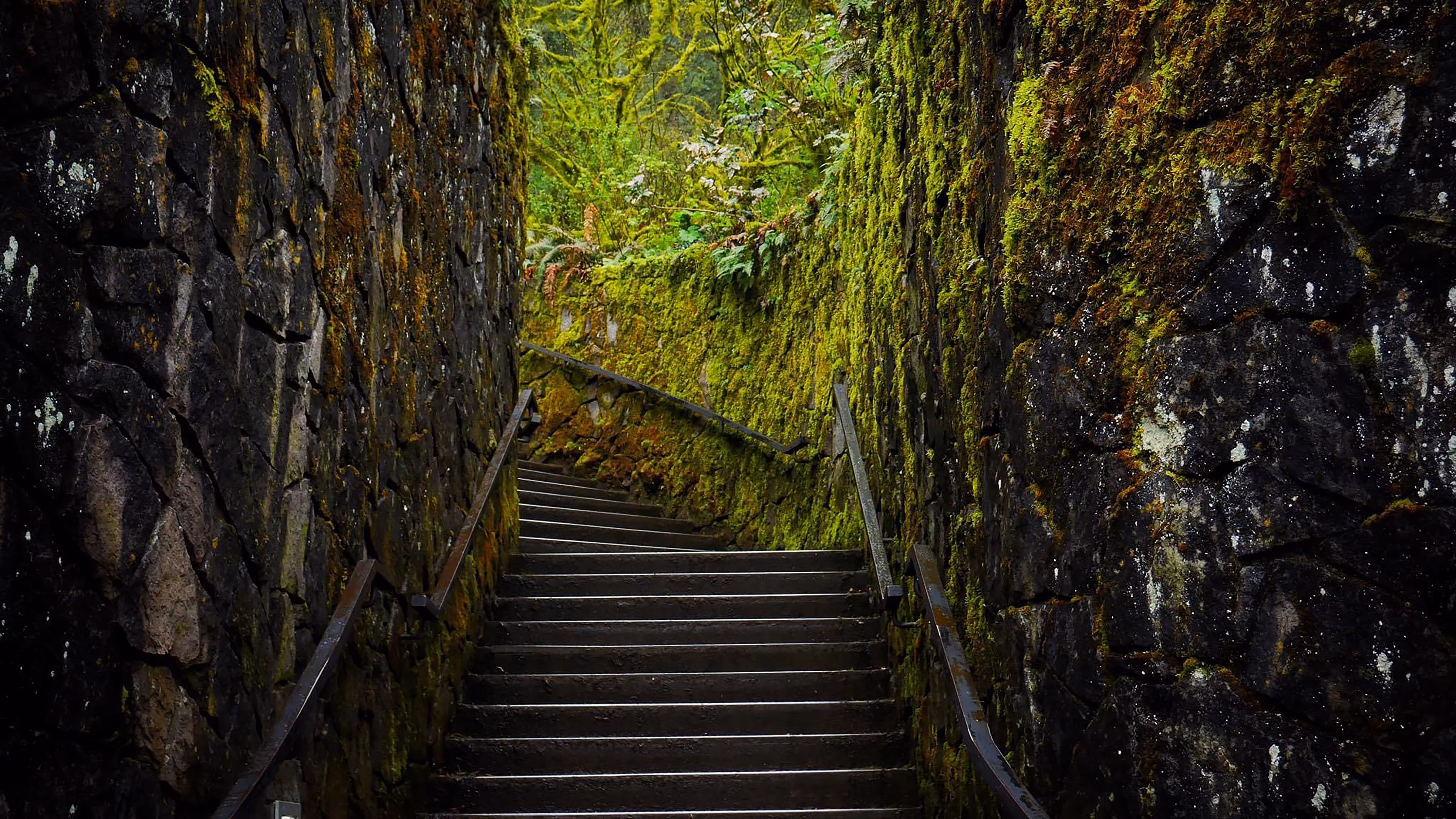 Hidden Paths