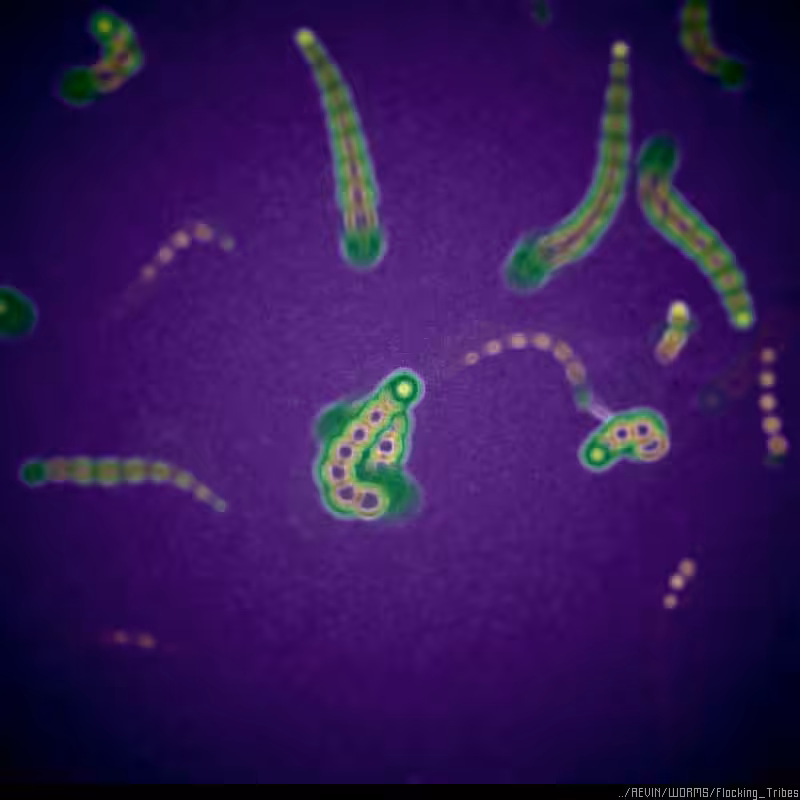 WORMS / Flocking Tribes #1