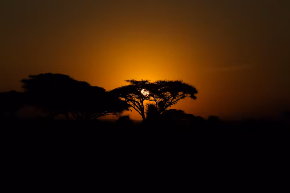 Sunrise madness