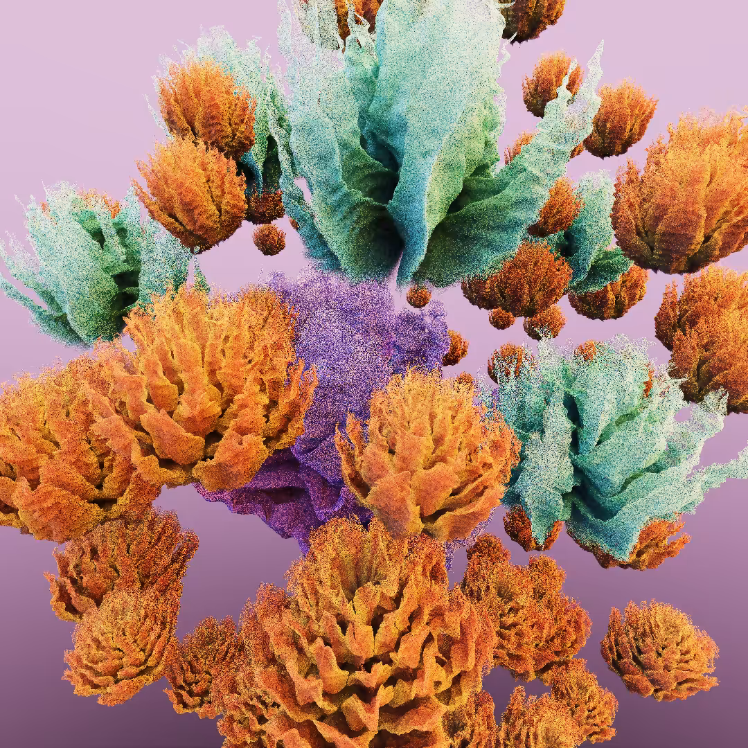 rosarium #2