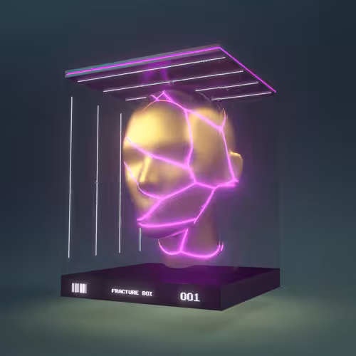 Fracture Boi: FRACTURE BOI - 001
