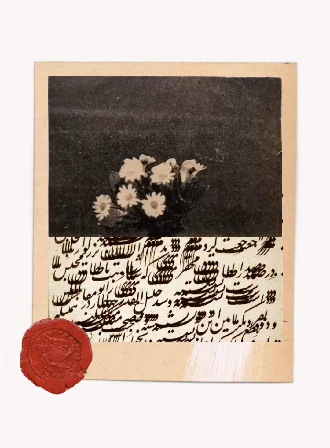 What the Flowers Couldn’t Say