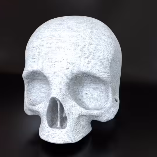 SkullZ #192