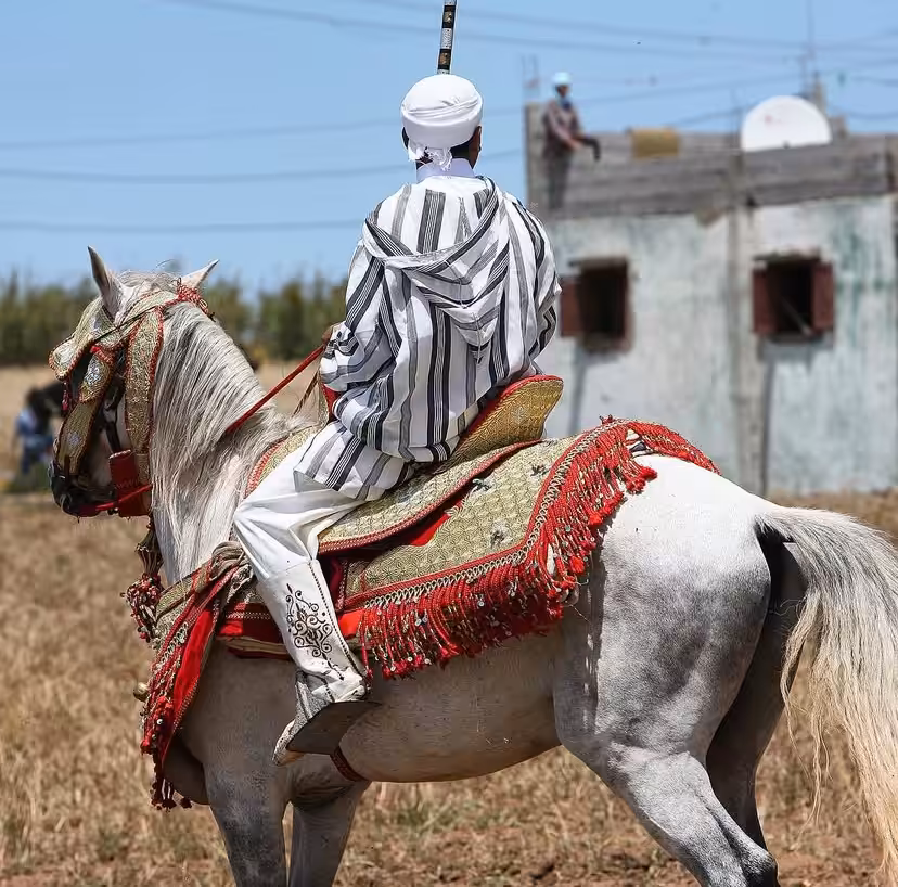 Tbourida horse rider near Rabat, Morocco