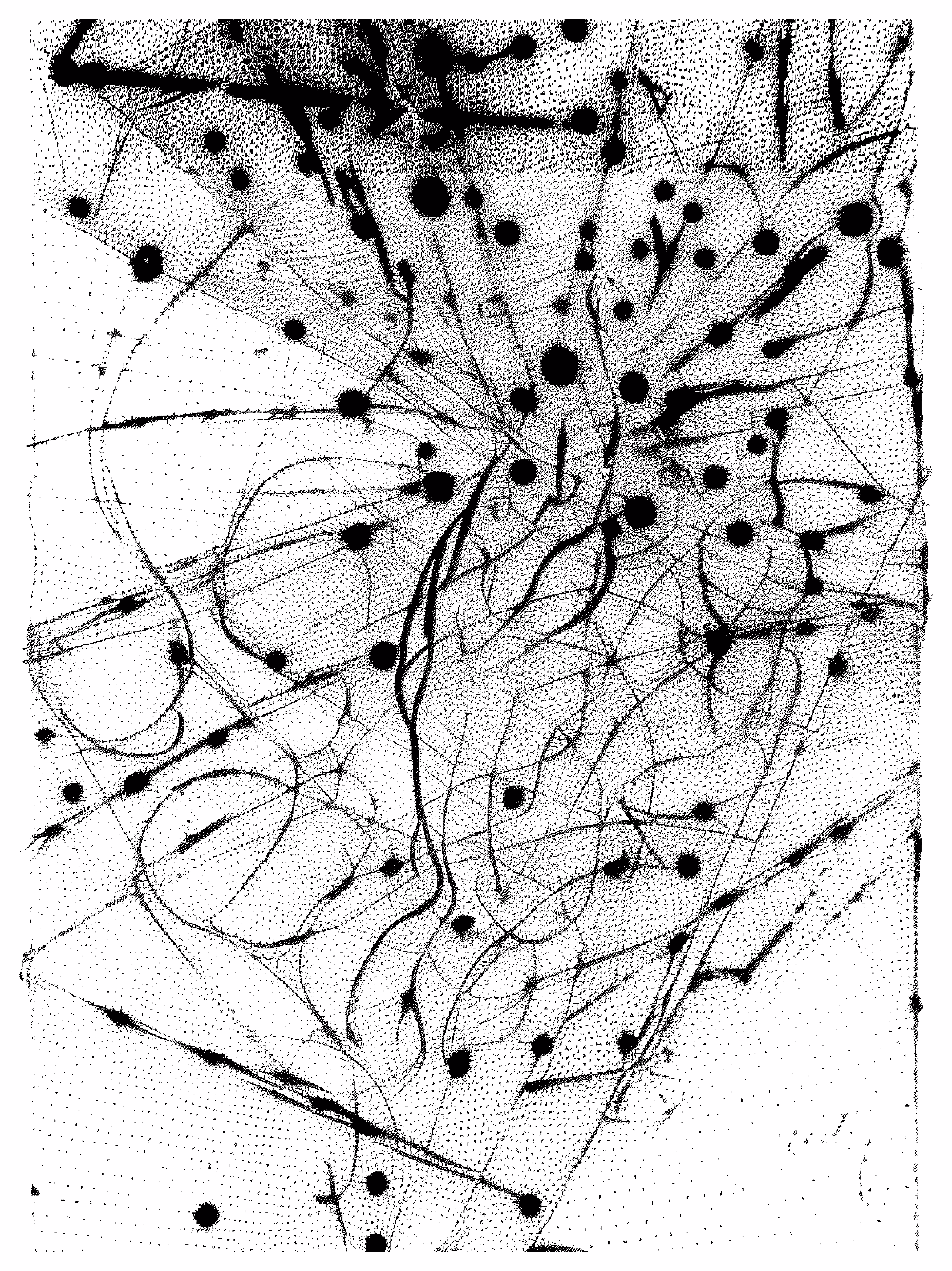 Marks & Signs II