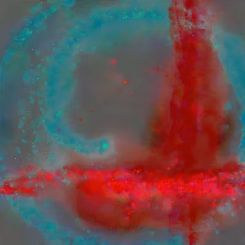 Stitched: Trauma #249
