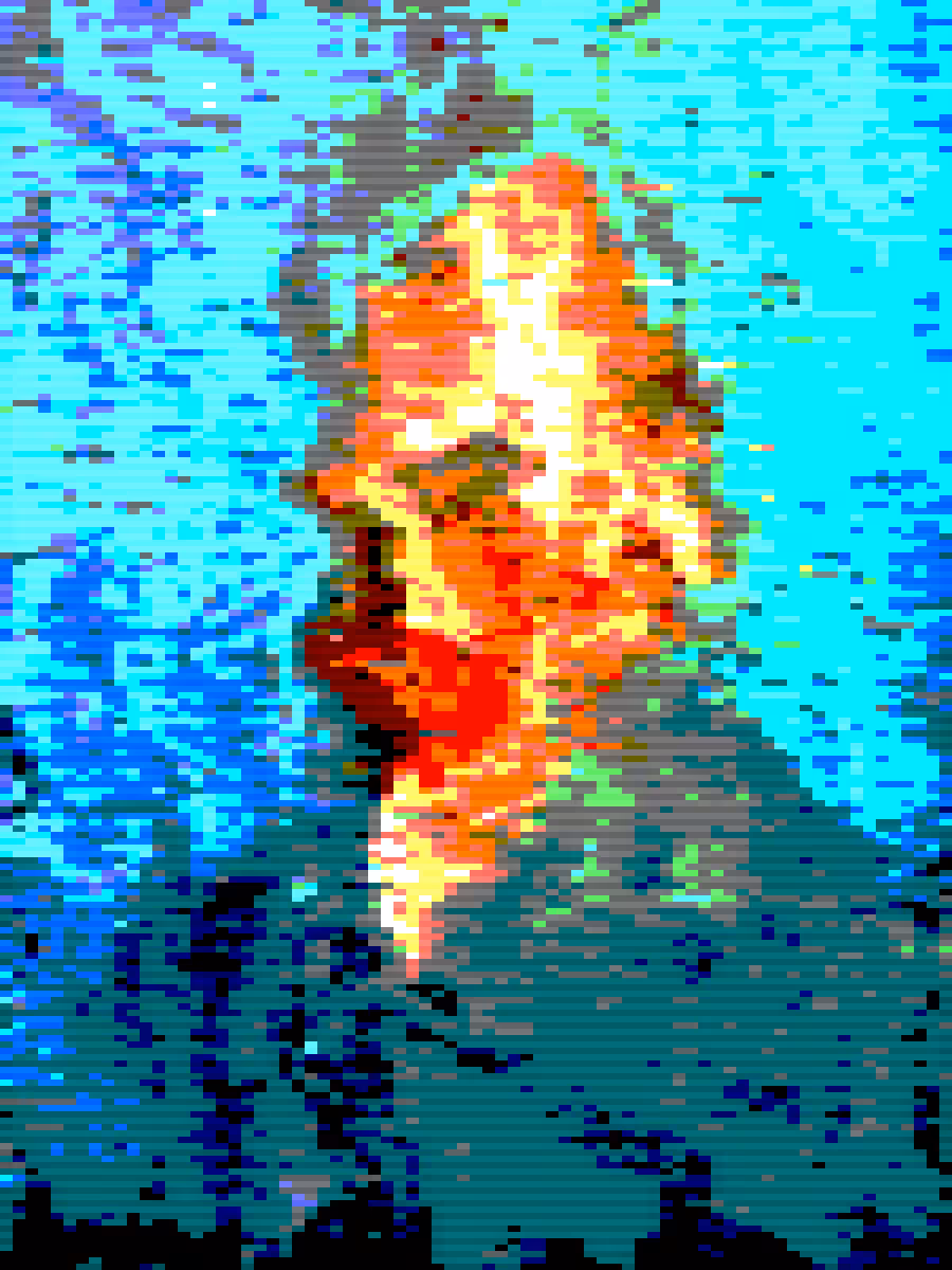 Veni Vidi Vincent