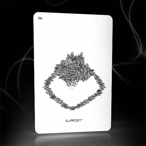 Insights from the Dreaming Pool: SUPPORT