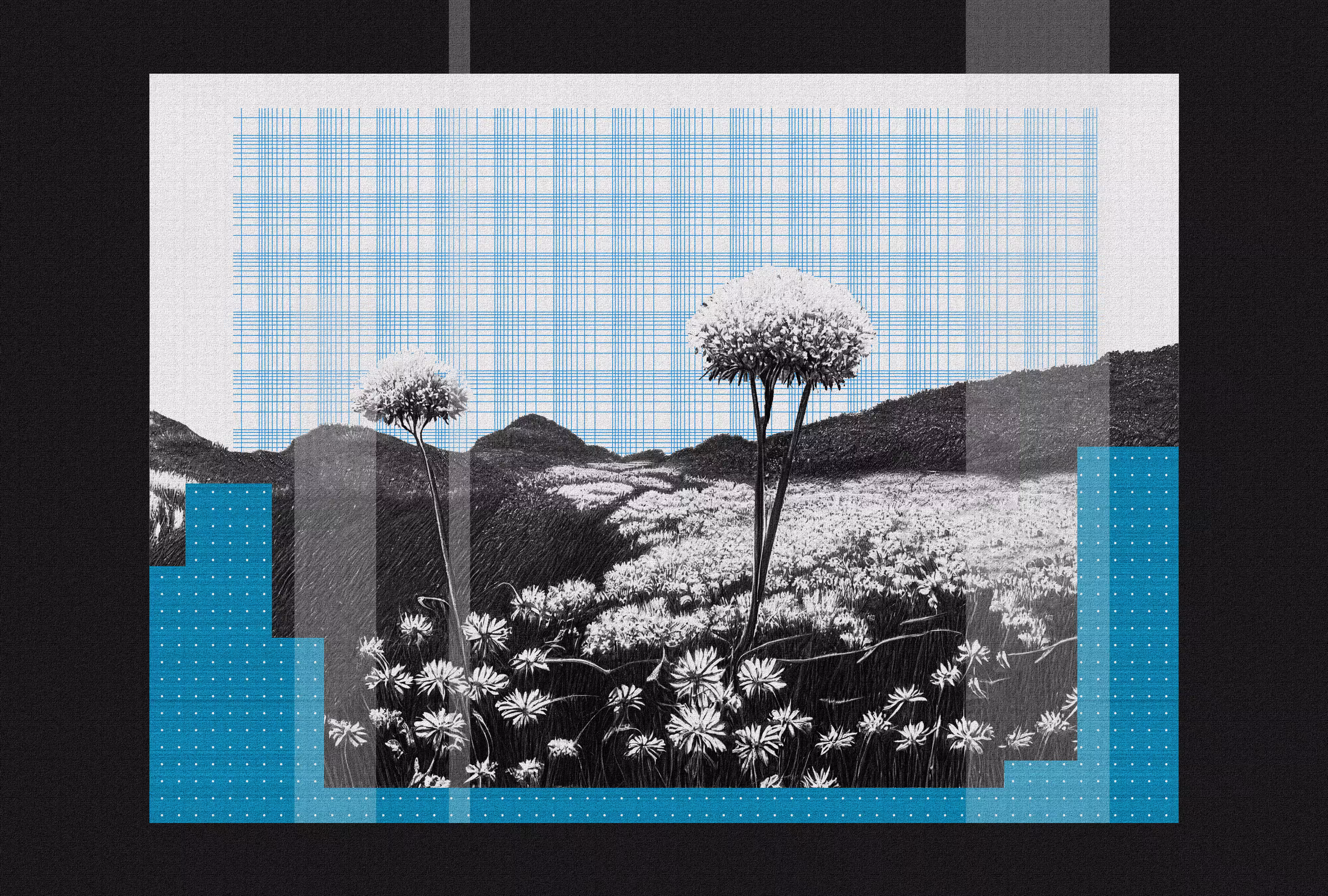 APYCH: Echoes #3