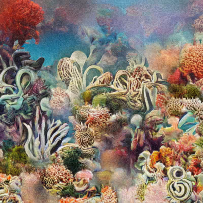 Reefs on Rewind #37