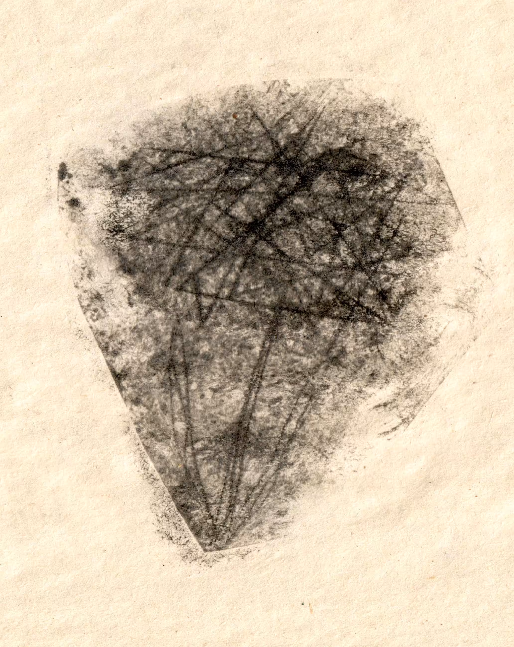 a flower