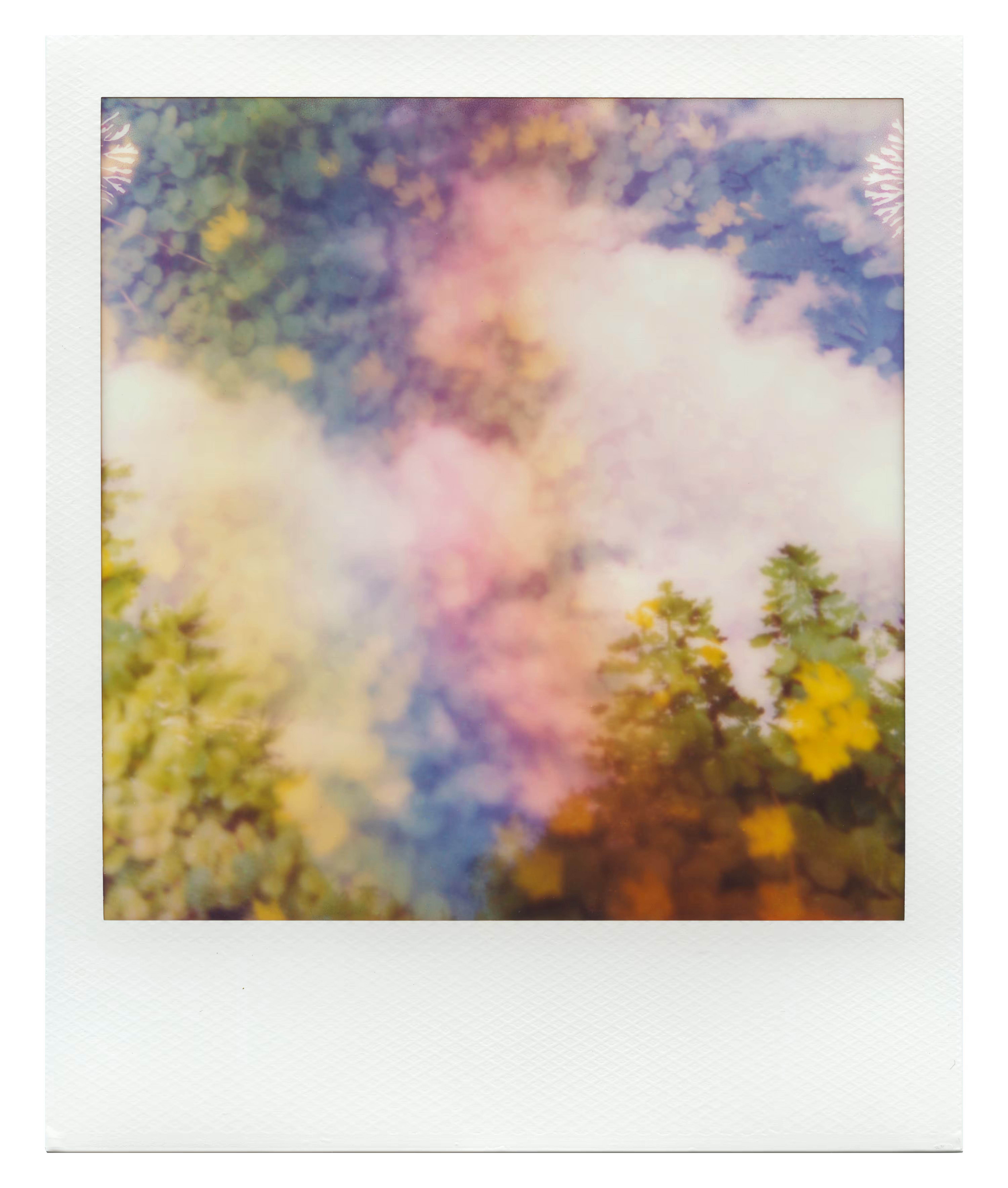 Endless Summer  |  17  | Manifestation