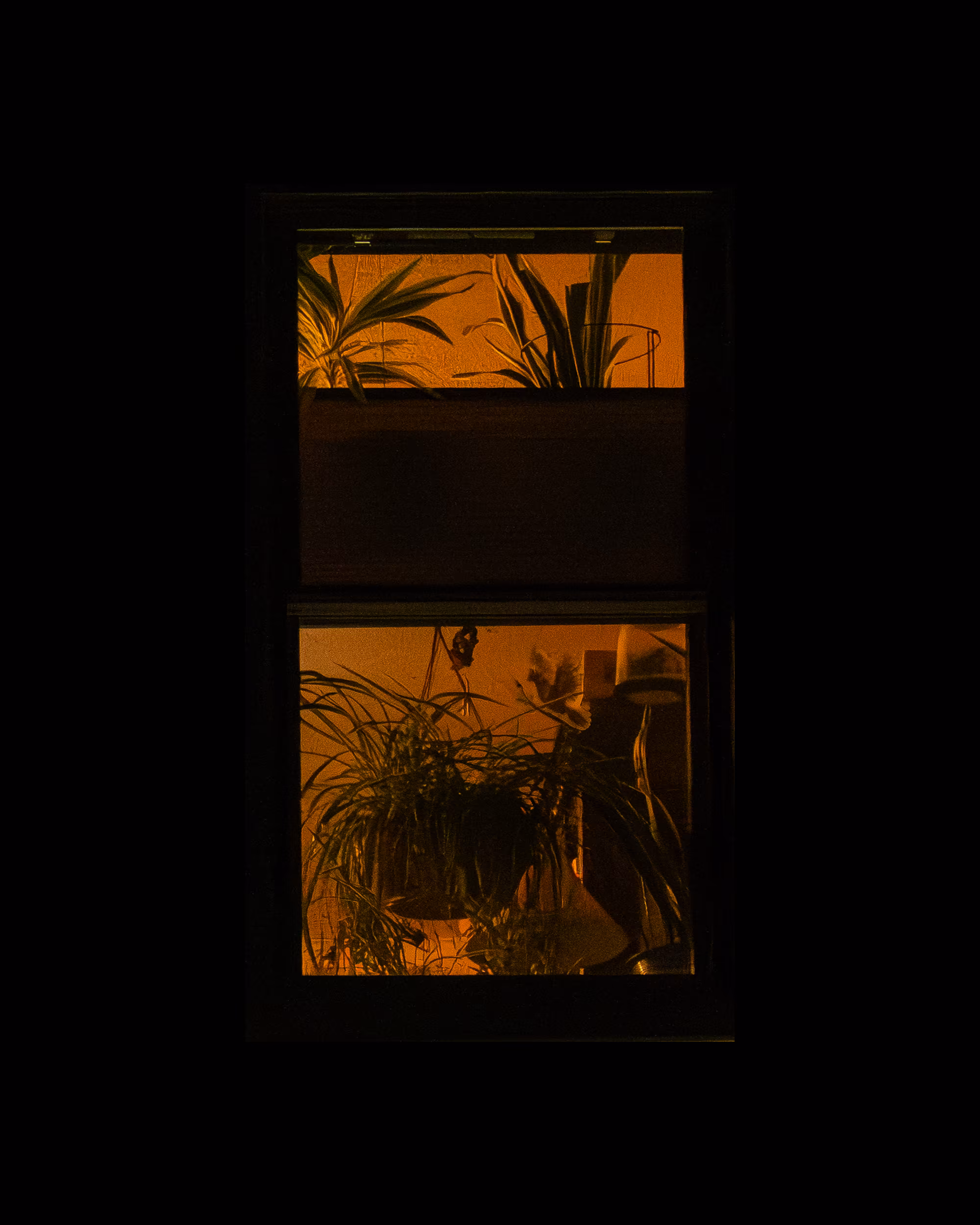 WINDOWS // NYC: WINDOW 505
