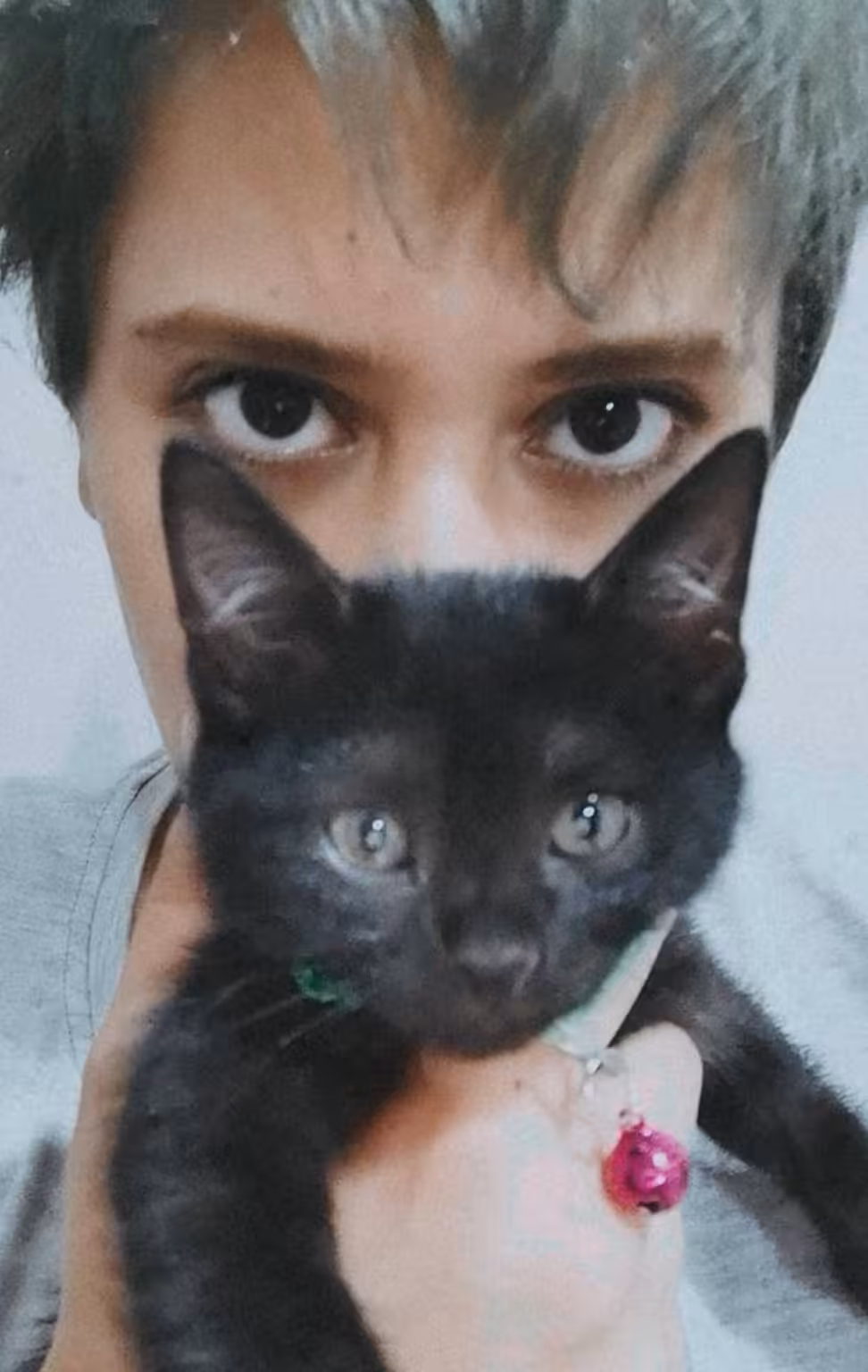 Black Cat