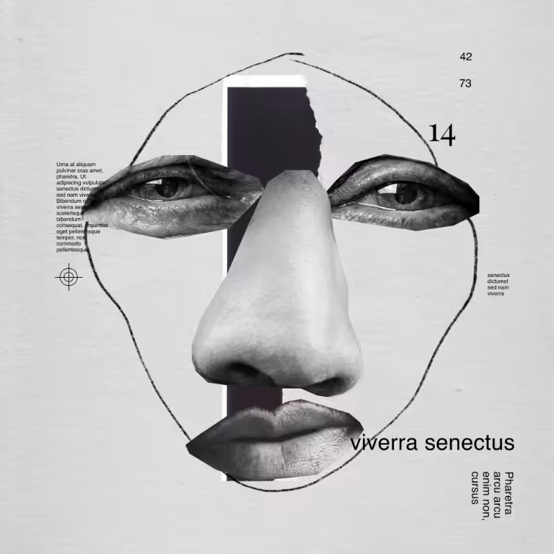 Collage faces #4