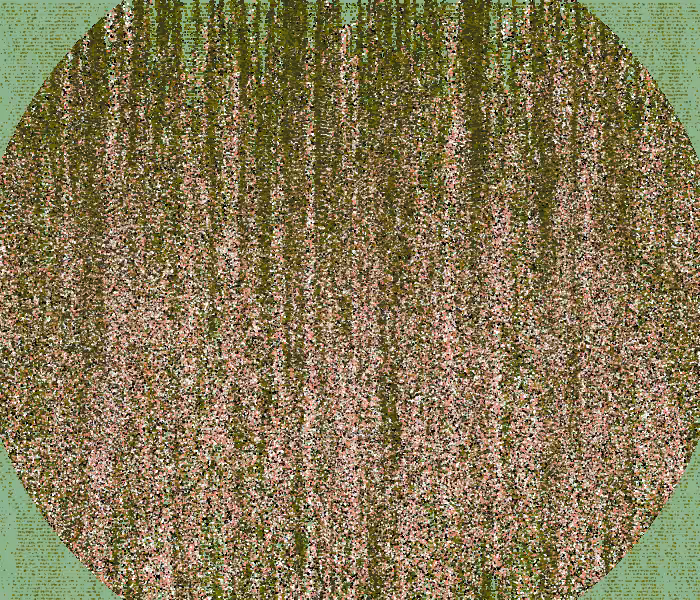 Artificialmente Natural #82