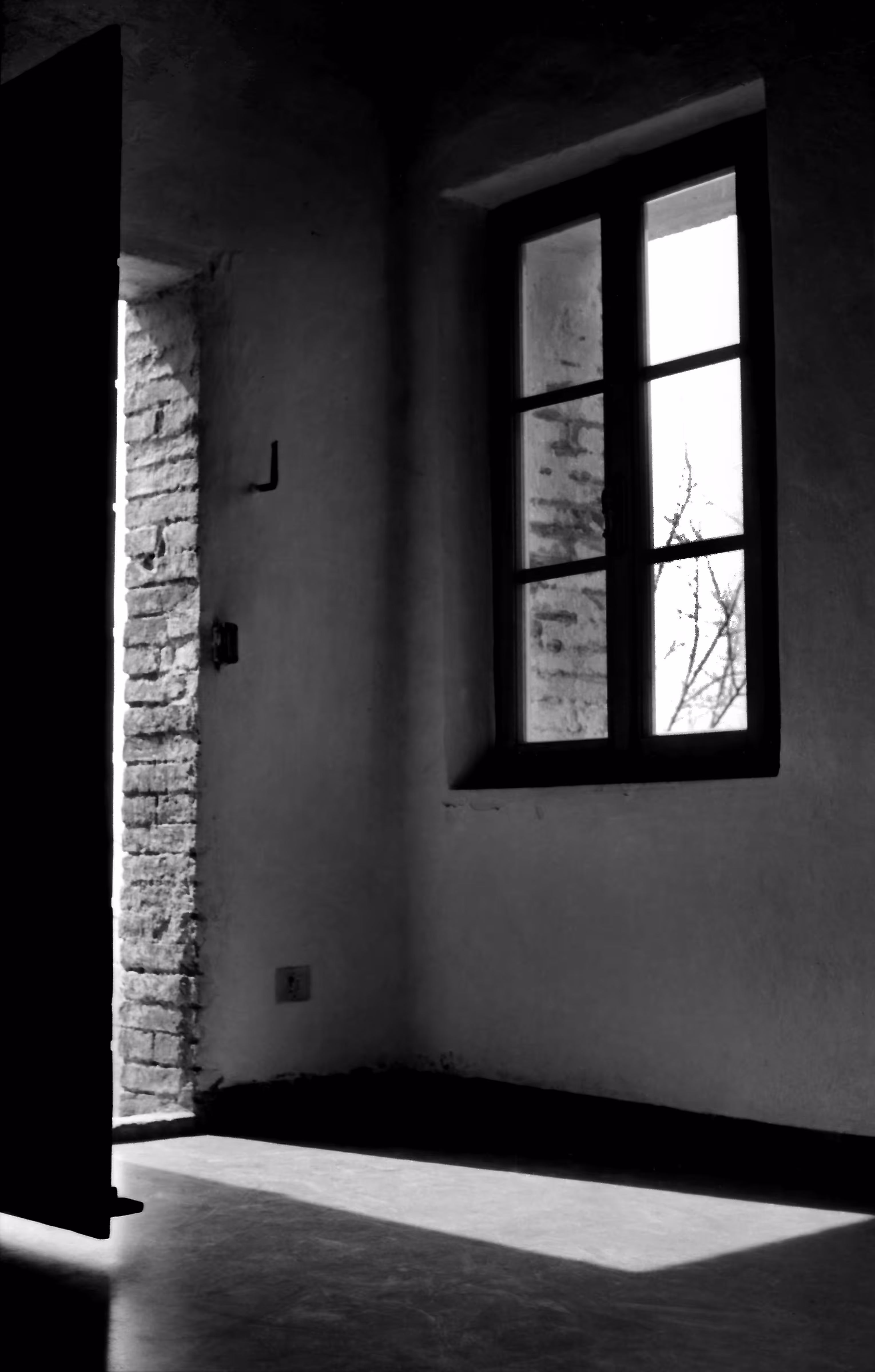 MORNING LIGHT