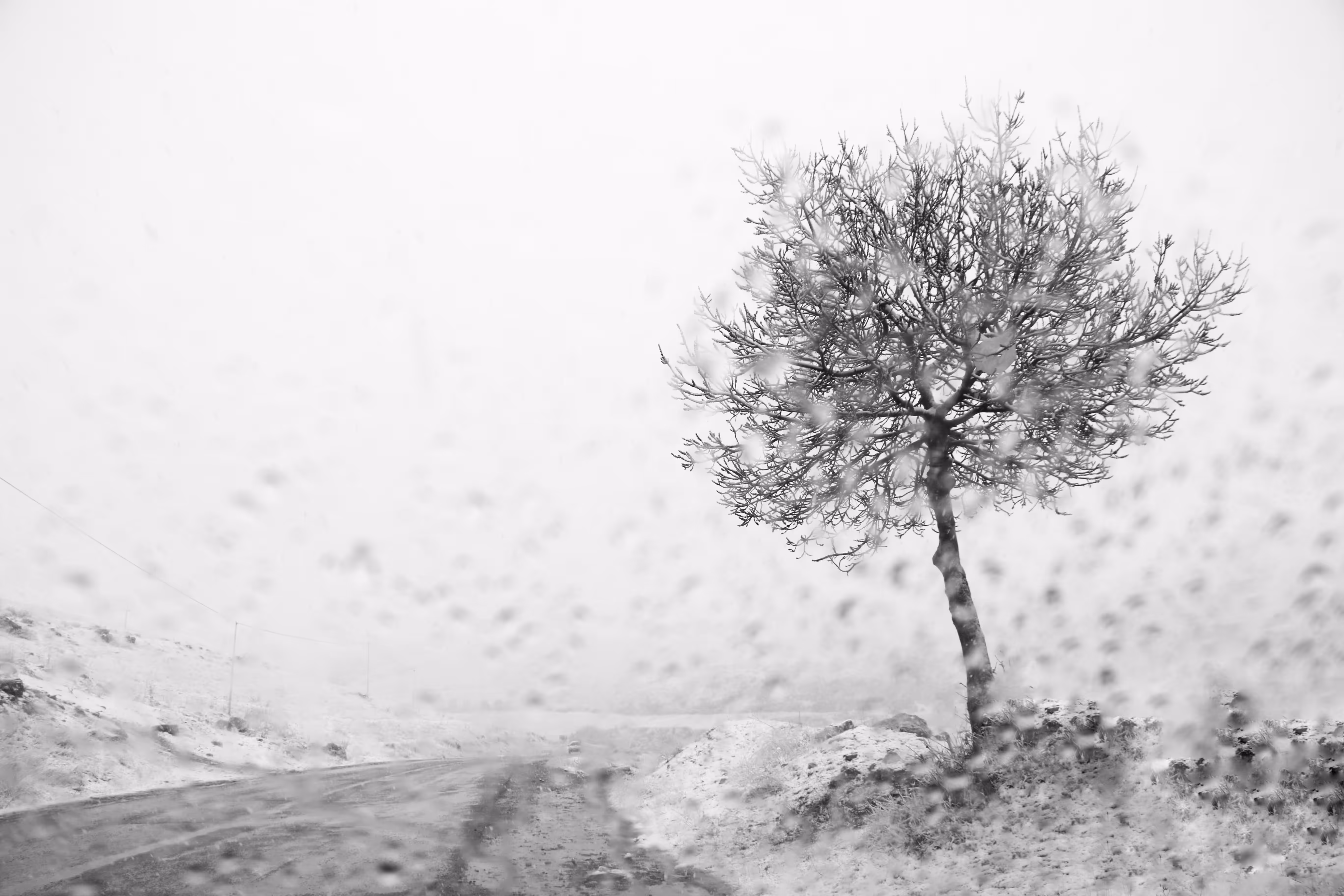 Alone