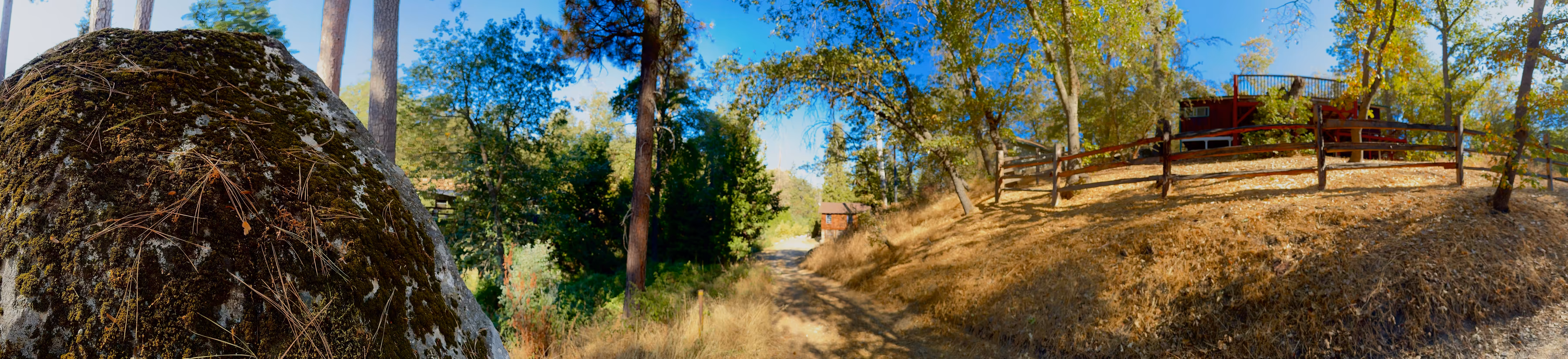 Whispers of Sequoia
