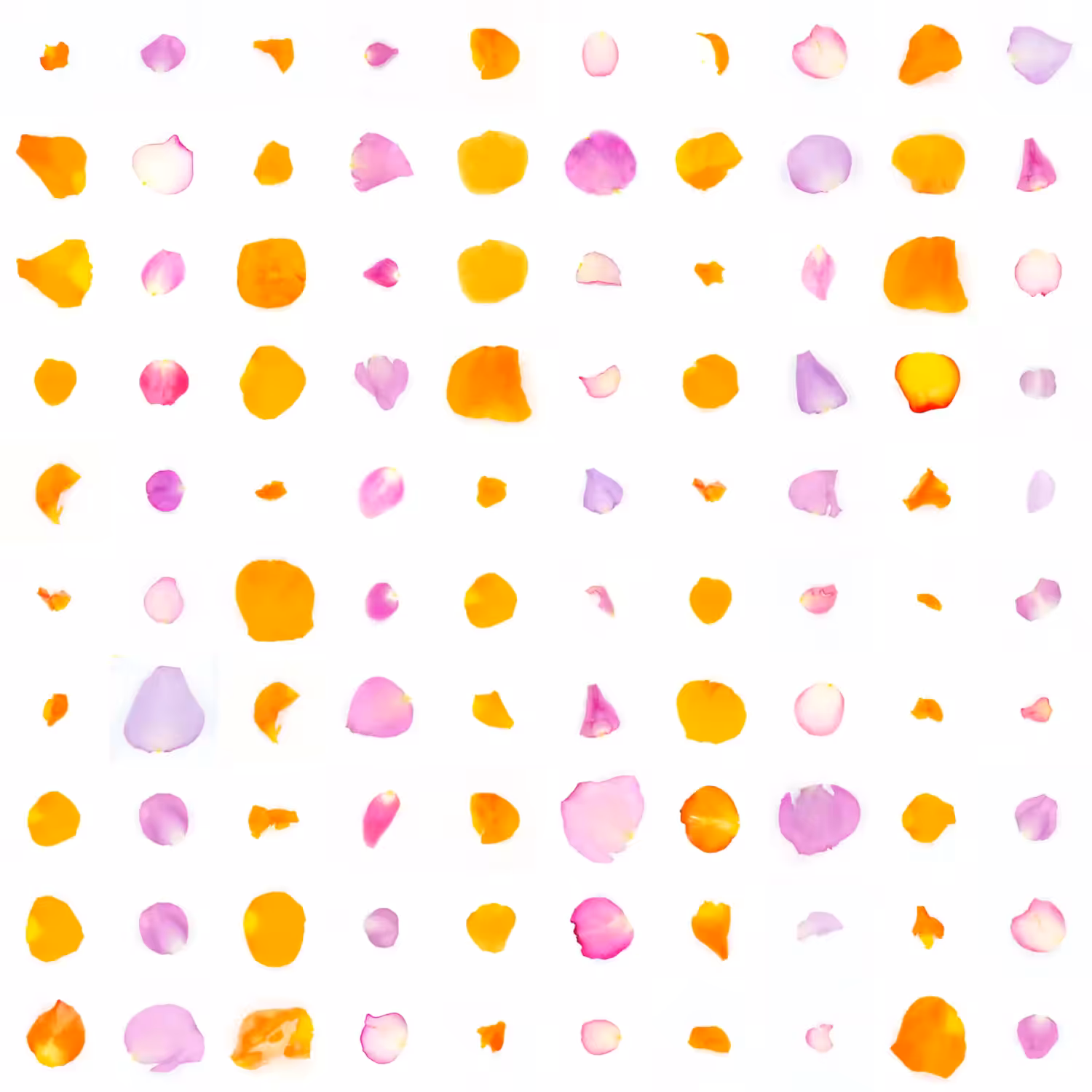 Infinite Petals 10x10#10209