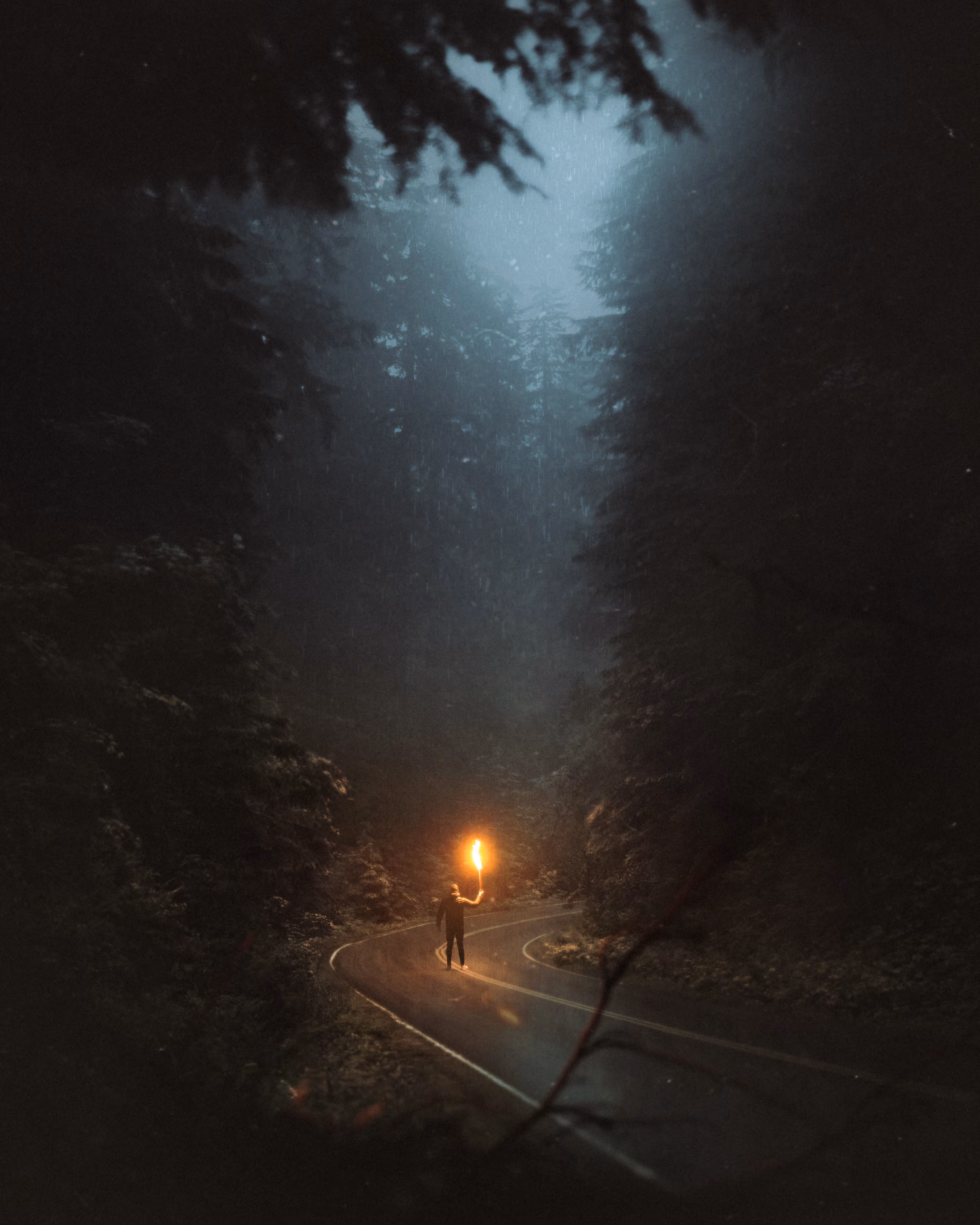 Alone 