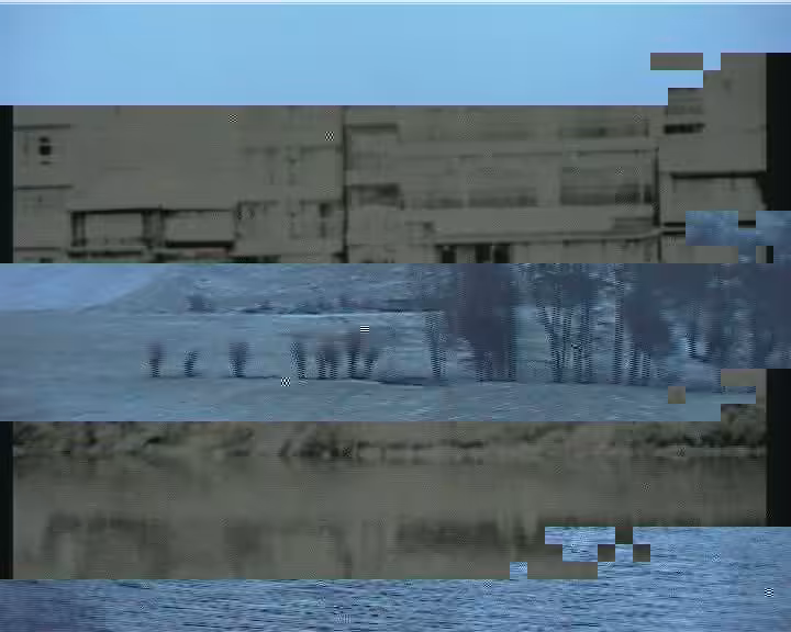 dv landscape #1