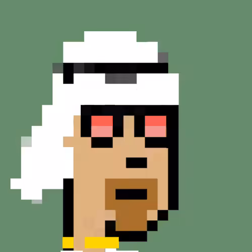 CryptoSheikh #24