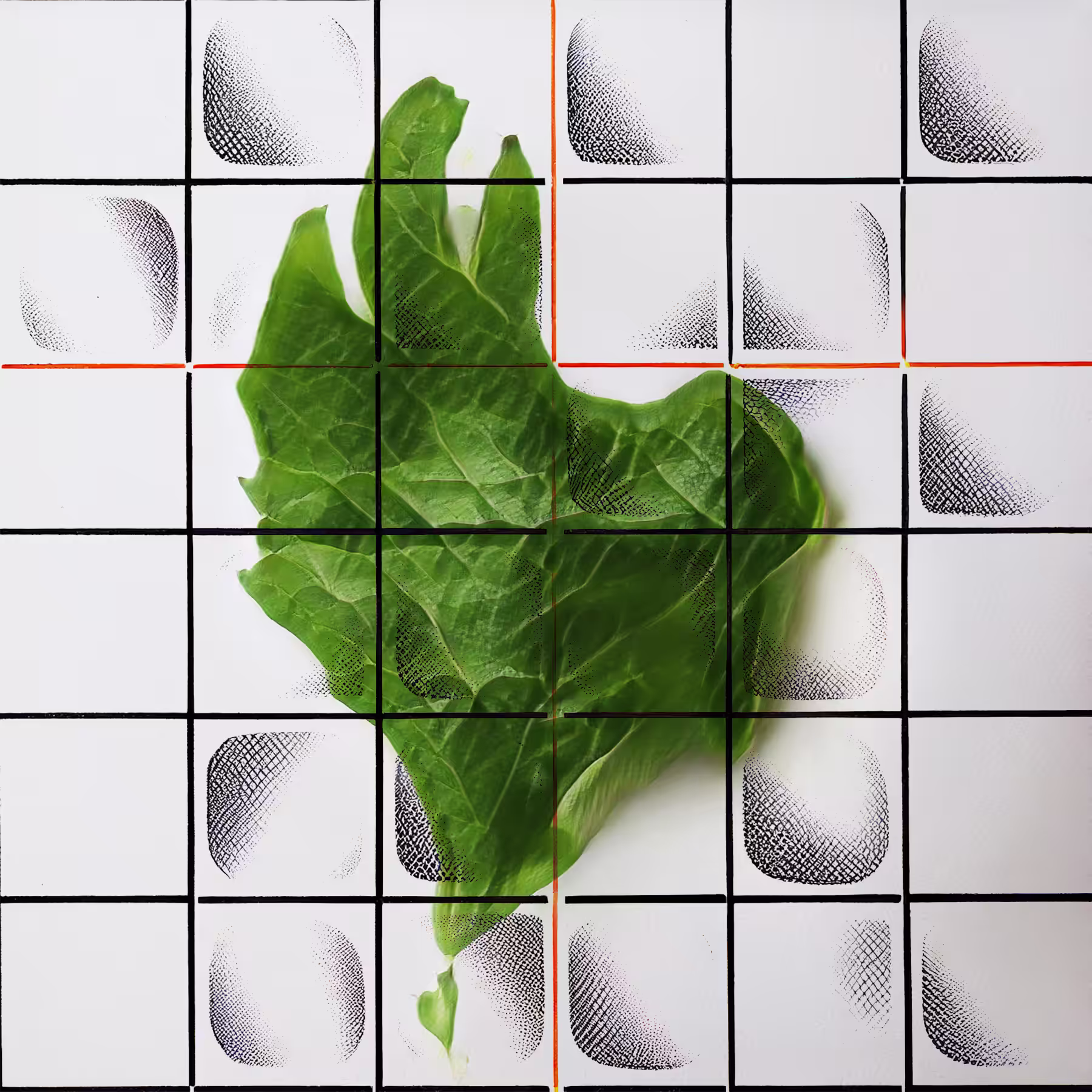 AI Horticulture Vignettes from the Greenhouse of the Future: Bulla Viridis